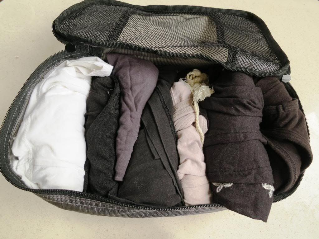 Alternate Uses for Packing Cubes Organize your Closet Space!