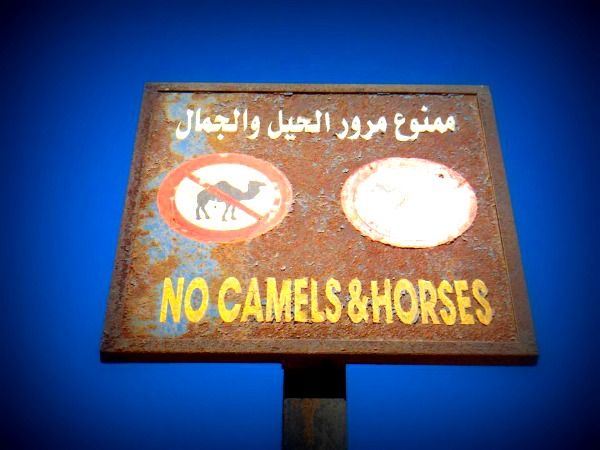 dahab-egypt-photo-diary