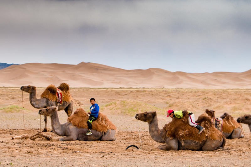  photo Gobi Desert. At a ger camp in Gobi Desert kids relax with their camels. untitled-413_zpsqhkbjs9j.jpg