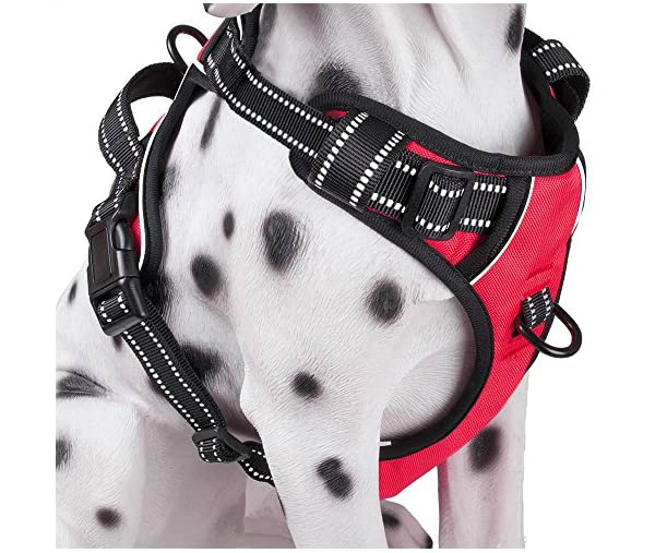 dog-hiking-gear