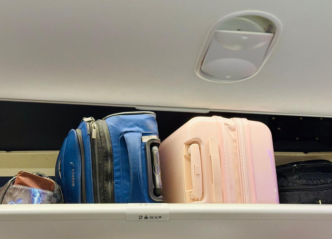 bagsmart-carryon-suitcase-review