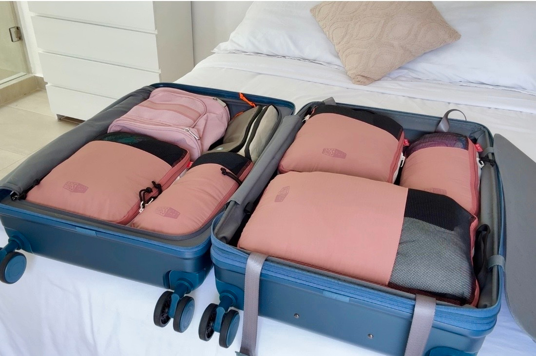 the-best-bagsmart-travel-gear-review